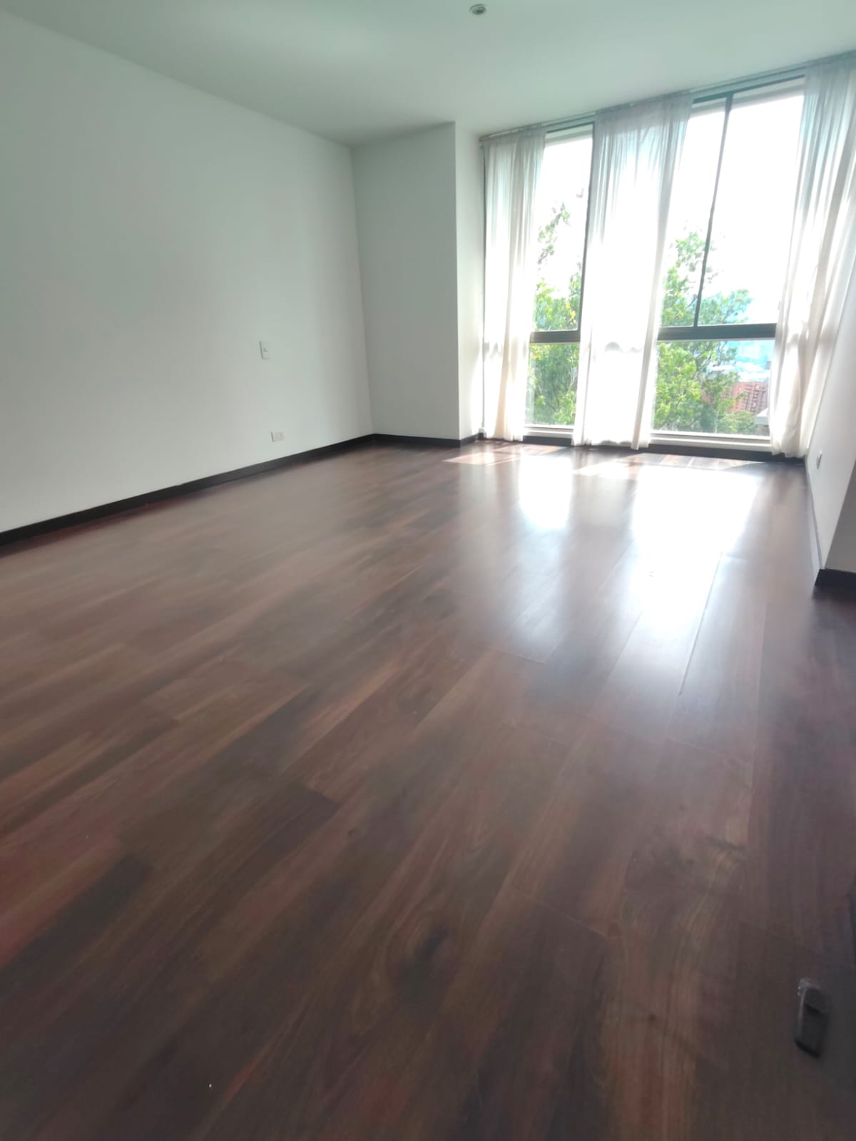 COLA DEL ZORRO, MEDELLÍN - 57539