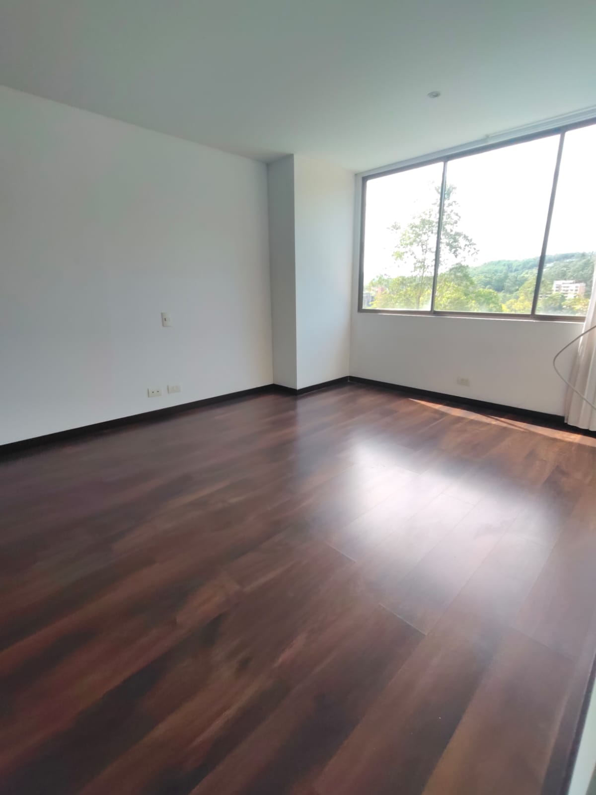 COLA DEL ZORRO, MEDELLÍN - 57539
